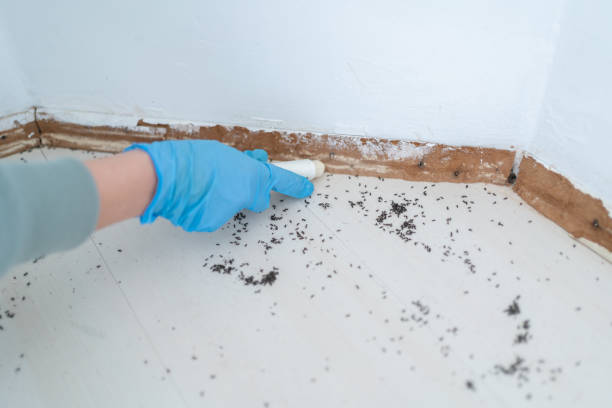 Best Pest Control for Multi-Family Homes  in Pleasantville, NJ